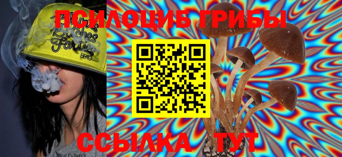 Псилоцибиновые грибы Psilocybine cubensis Бугуруслан