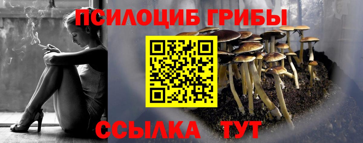 Галлюциногенные грибы мицелий  Вход с VPN  Галлюциногенные грибы ЛСД  Бугуруслан 